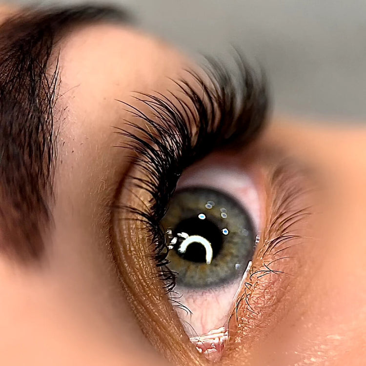 Eyelash Extensions Volume Advanced Training