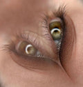 eyelash extensions in Los Angeles