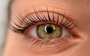 Lash Lift and Tint in Los Angeles