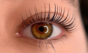 Lash Lift in Los Angeles
