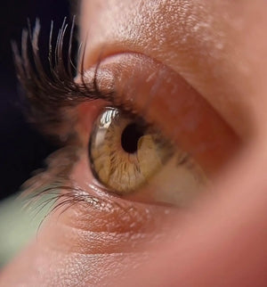 Lash Lift in Los Angeles
