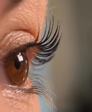Lash Lift and Tint in Los Angeles