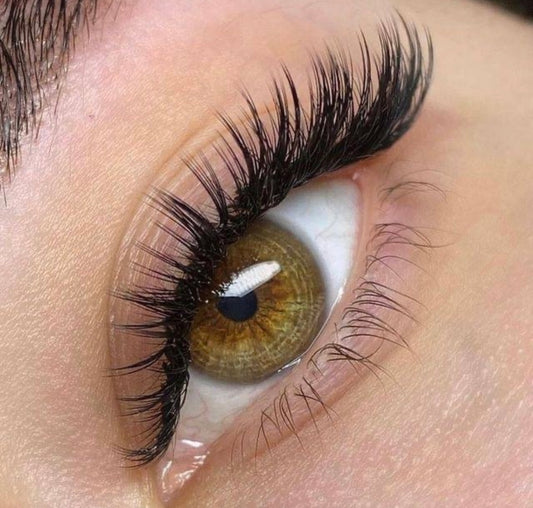 Belris Eyelash Extensions in the Heart of Los Angeles