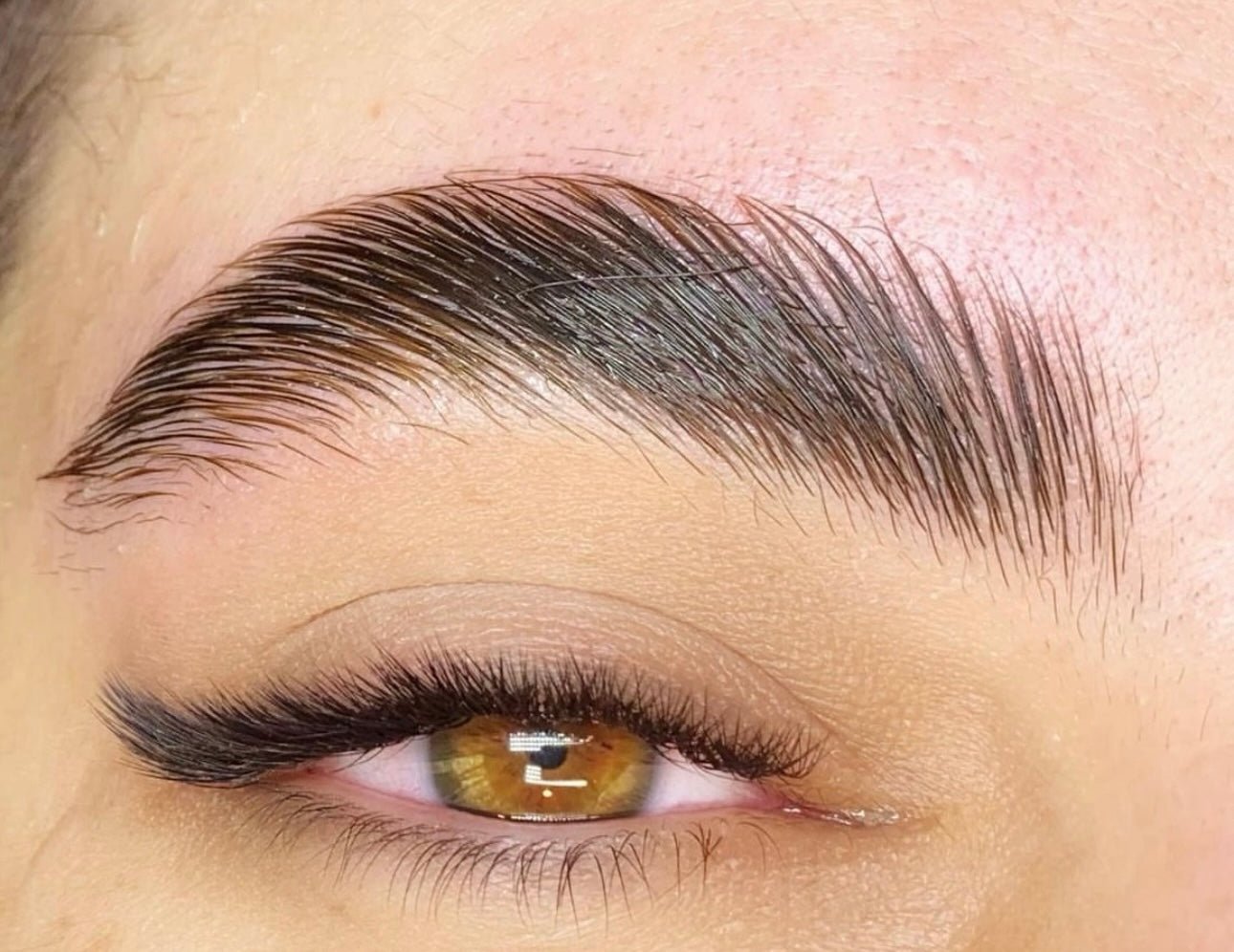 How often can I repeat Brow Lamination treatments?