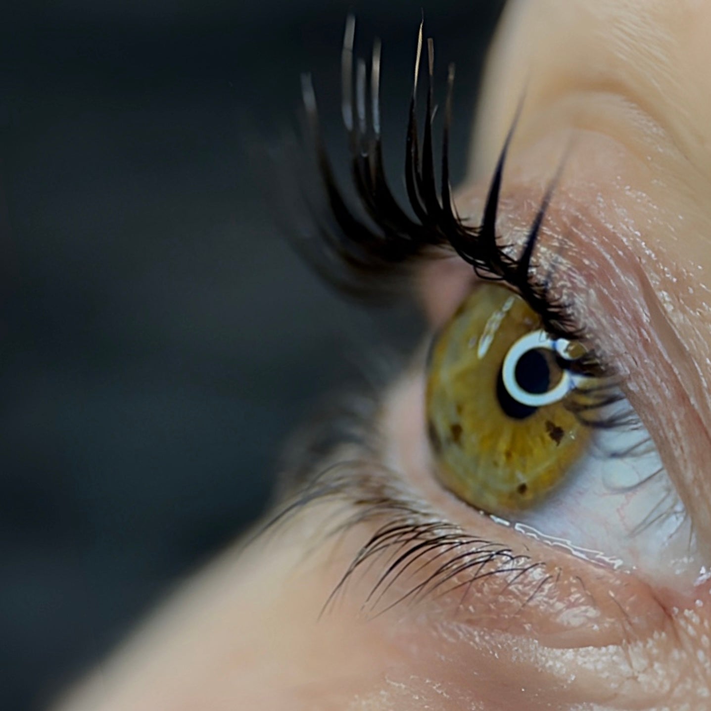 Lash Lifts on short lashes