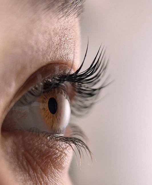 Cluster Lashes vs. Professional Eyelash Extensions: What’s the Difference and Which Is Safer?