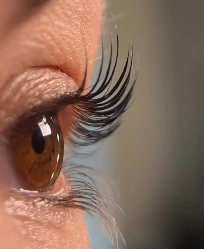 Keratin lash lift and tint Los Angeles