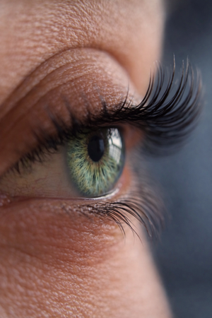 Best Lash Lift and Tint in LA