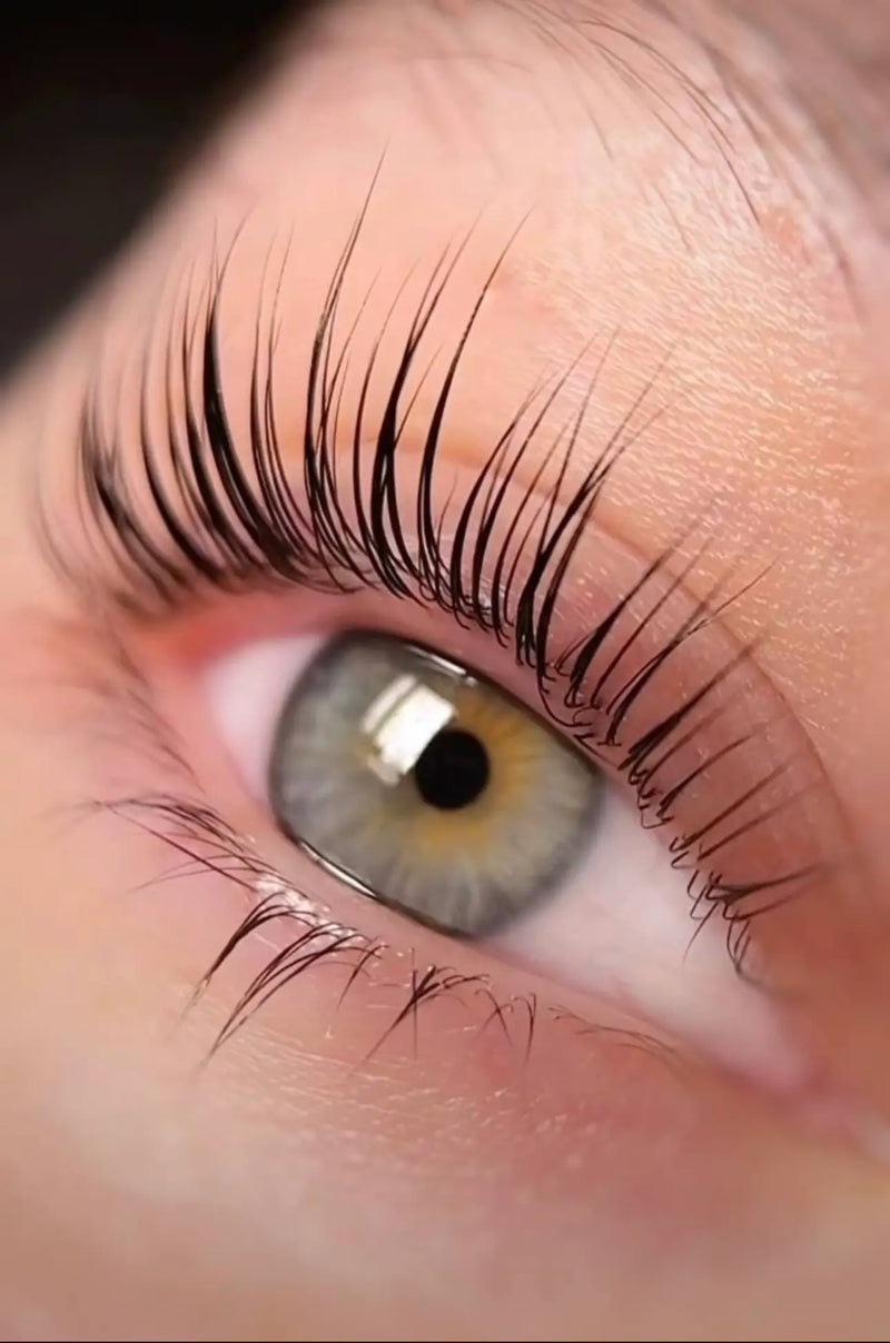 Best Lash Lift Salon in Los Angeles