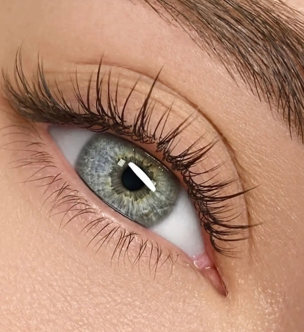 Belris Lash Studio | Eyelash Extensions Los Angeles & Westwood