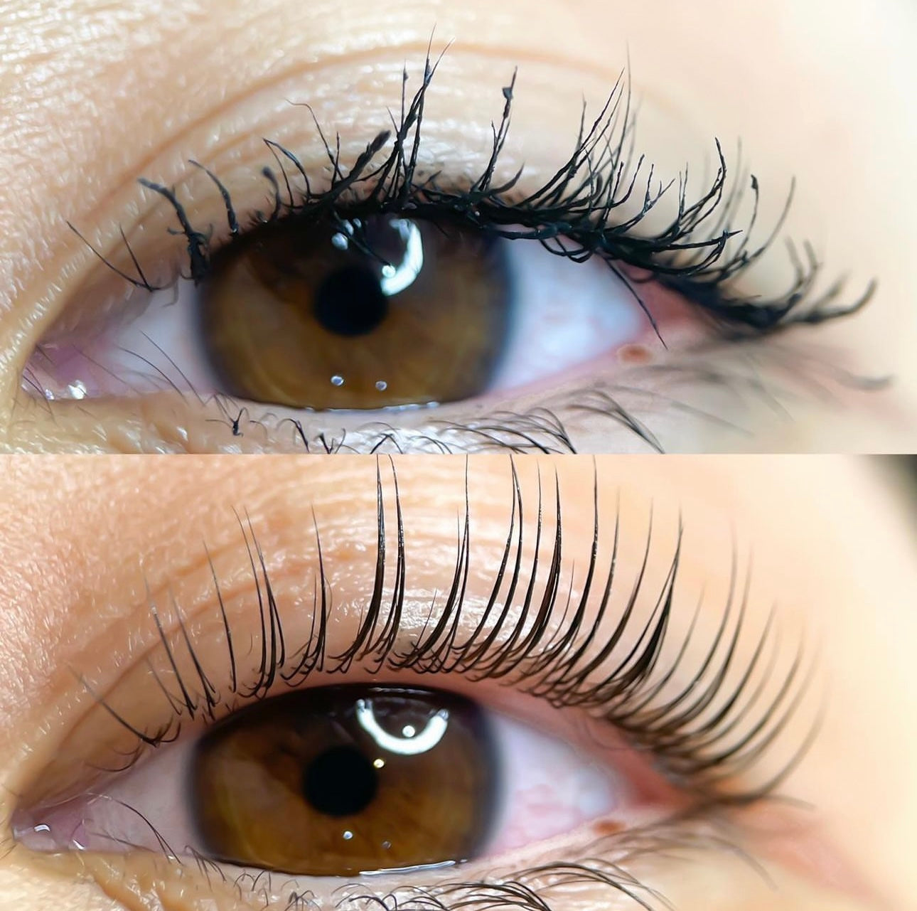 Curled Lashes In Westwood Los Angeles