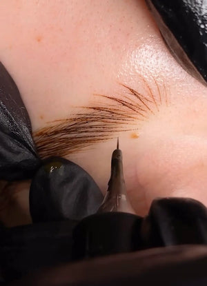 Eyebrow Nanoblading Studio in Westwood & Los Angeles