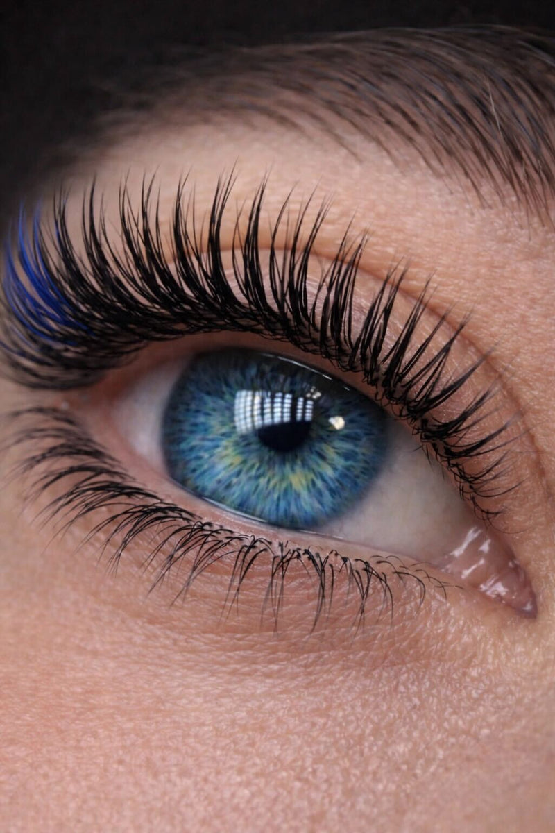 Eyelash extensions in Westwood, Los Angeles