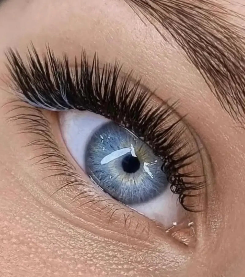 Hybrid Eyelash Extensions in Los Angeles