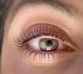 Keratin Lash Lift Near Me Bel Air Los Angeles