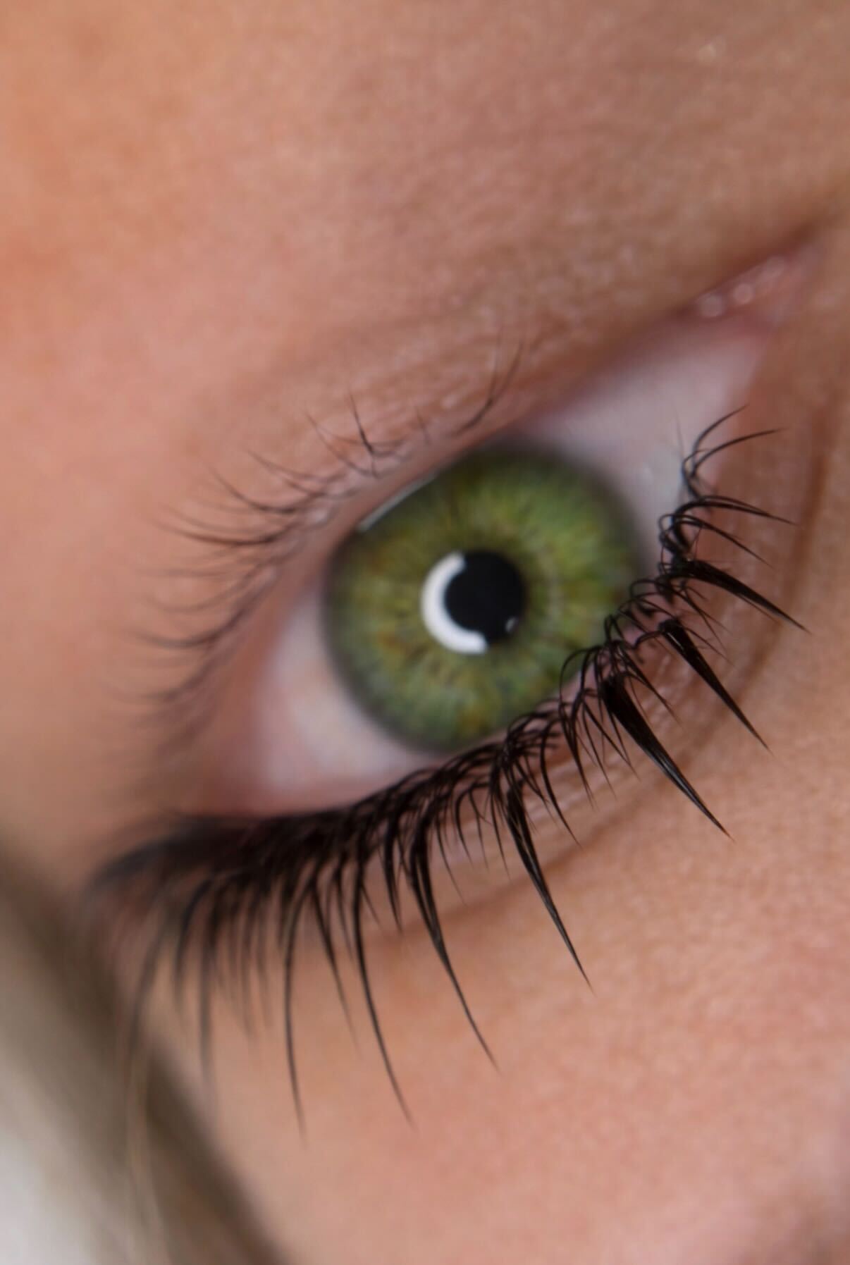 Premium Eyelash Extensions in Los Angeles