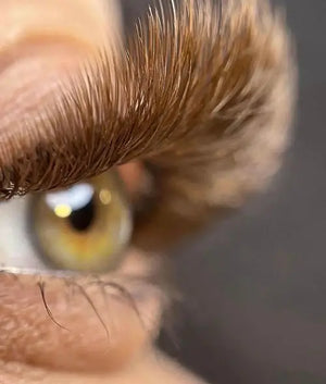 Eyelash Extensions in Los Angeles Belris