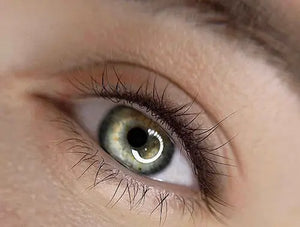 Lashes Los Angeles Pricing Cost Belris